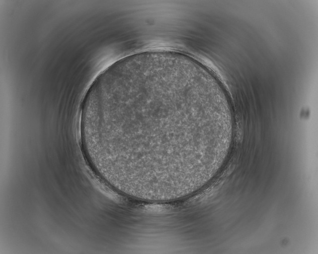 X0000097291227200803141503