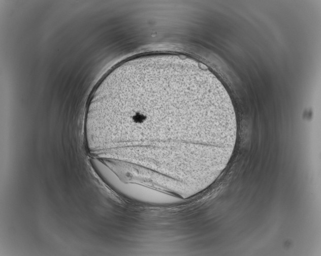 X0000097291228200803141503