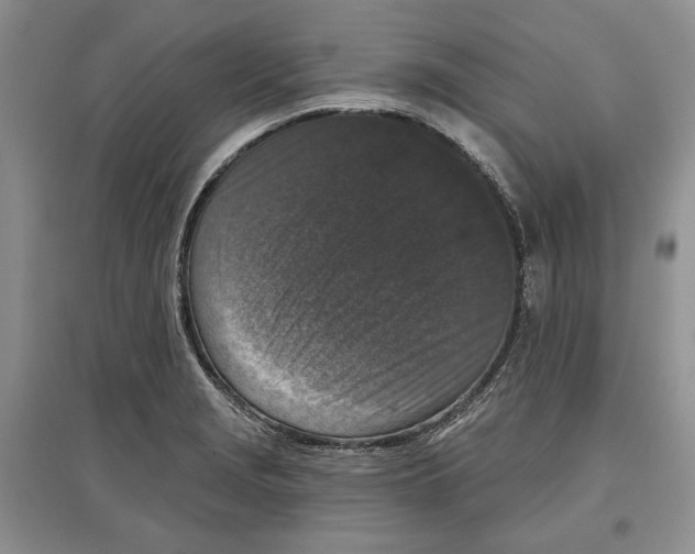 X0000097291229200803141503