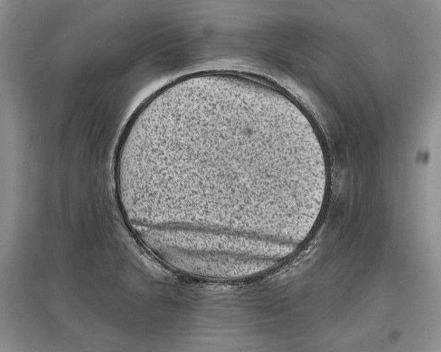 X0000097291230200803141503