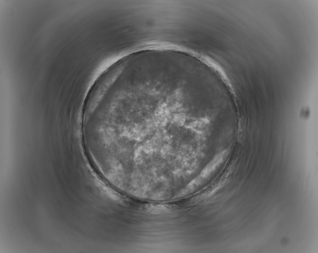 X0000097291231200803141503