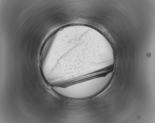 X0000097291232200803141503