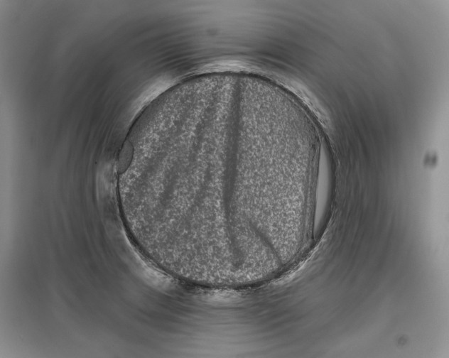 X0000097291233200803141503