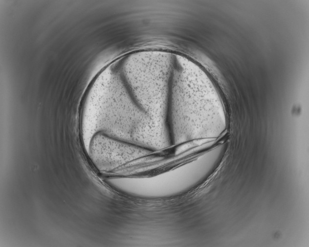 X0000097291234200803141503