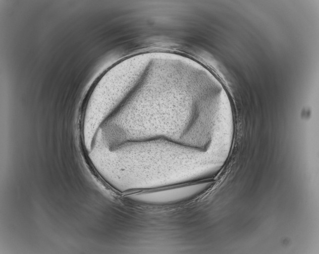 X0000097291235200803141503