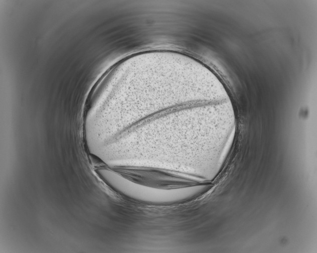 X0000097291236200803141503