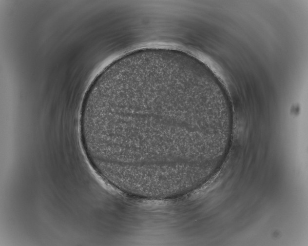 X0000097291237200803141503