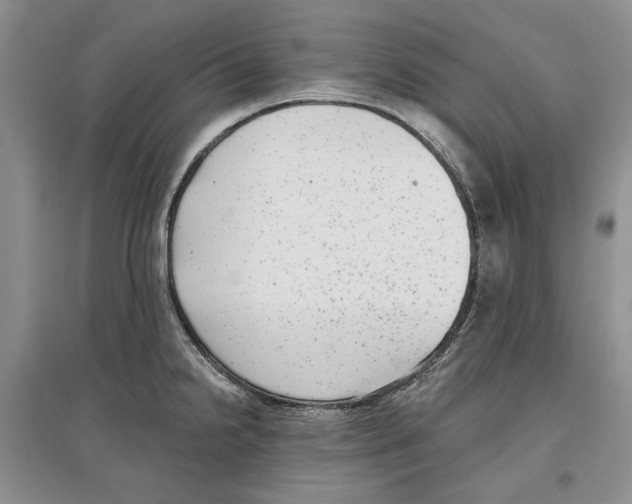 X0000097291238200803141503