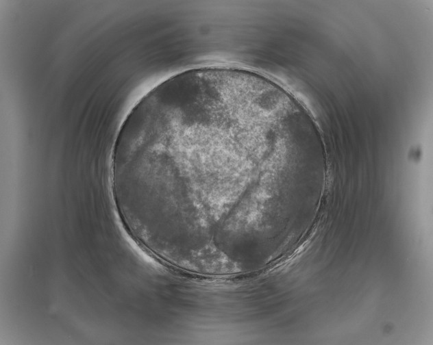 X0000097291239200803141503