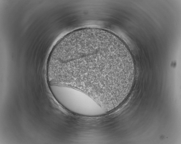 X0000097291240200803141503