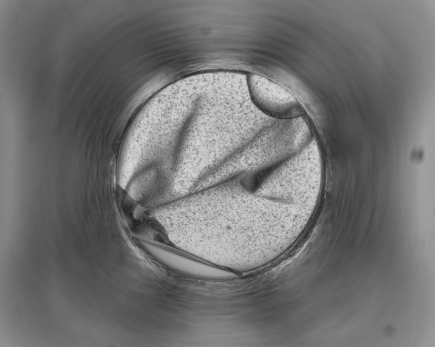 X0000097291241200803141503