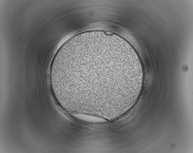 X0000097291242200803141503