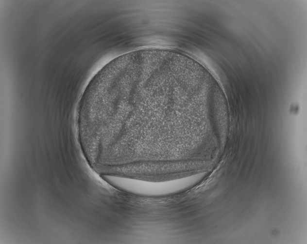 X0000097291243200803141503