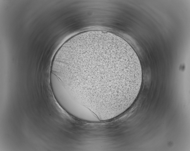 X0000097291244200803141503