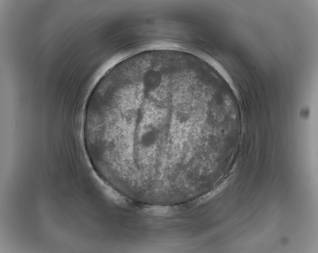 X0000097291245200803141503