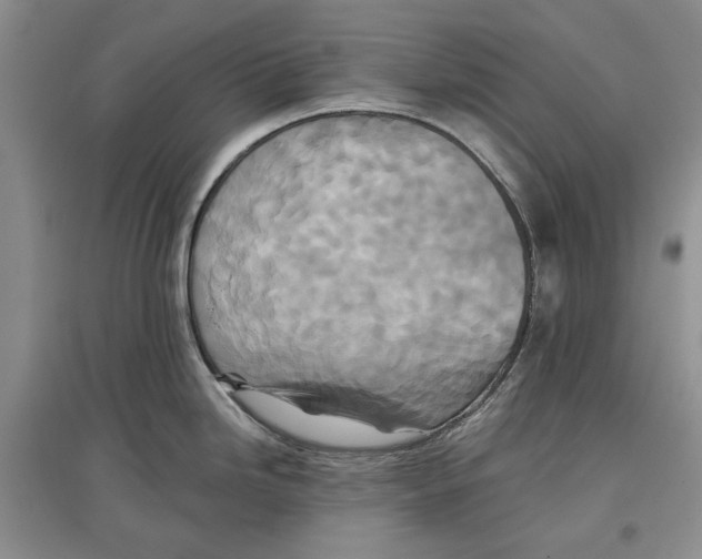 X0000097291246200803141503