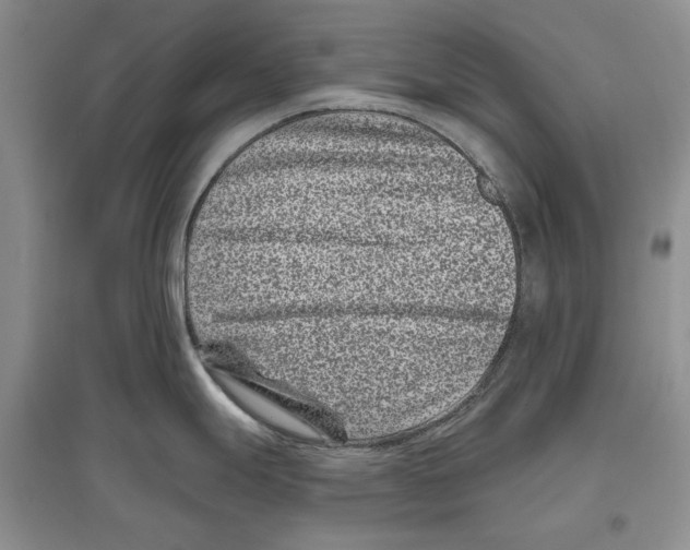 X0000097291247200803141503