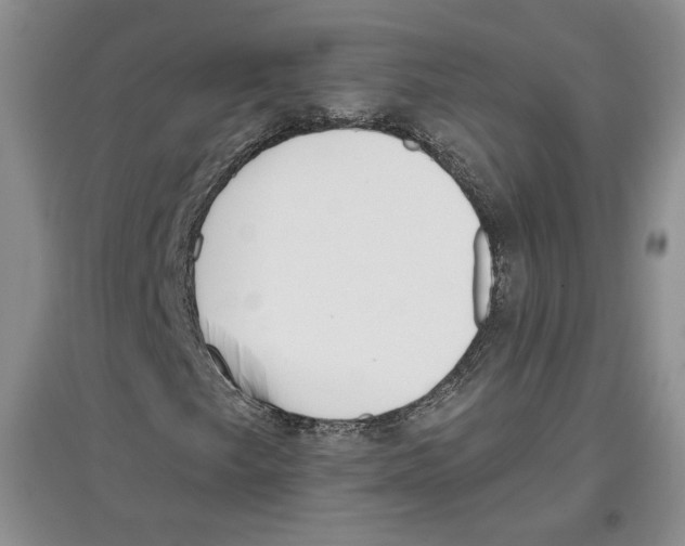 X0000097291249200803141503