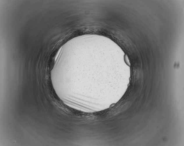 X0000097291250200803141503