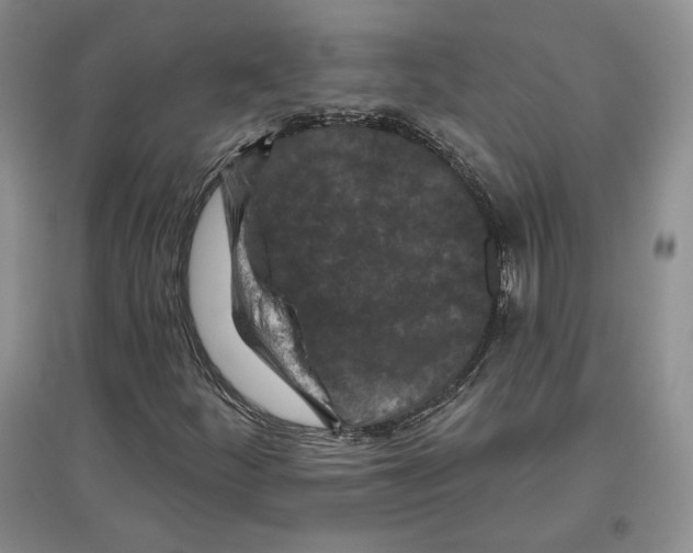 X0000097291252200803141502