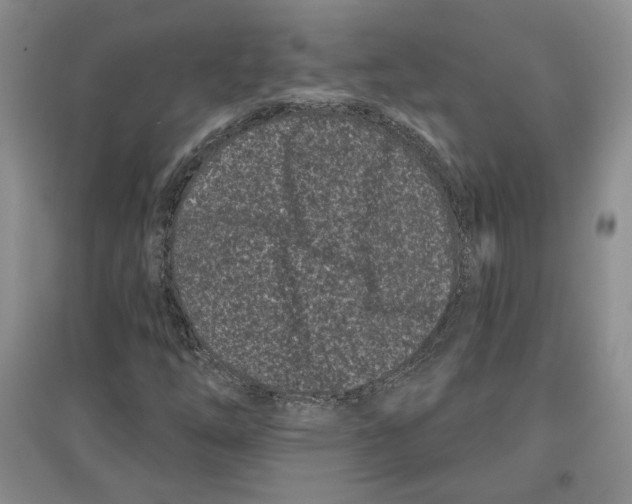 X0000097291254200803141502