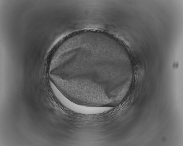 X0000097291256200803141502