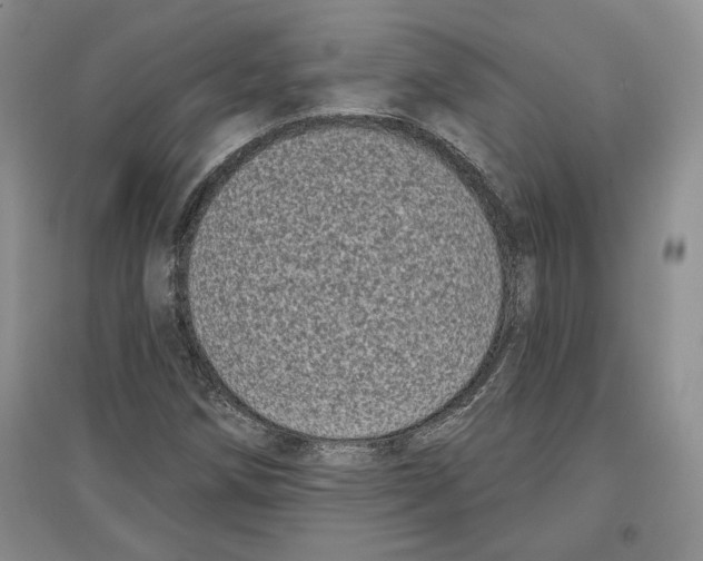 X0000097291258200803141502