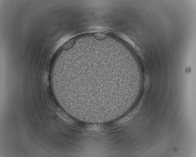 X0000097291259200803141502