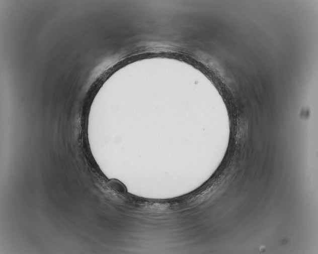 X0000097291261200803141502