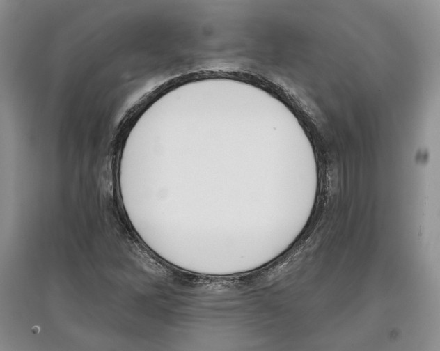 X0000097291262200803141502