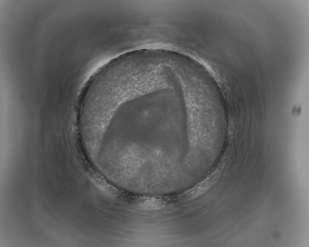 X0000097291263200803141502