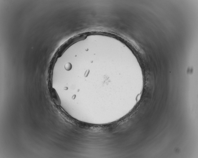 X0000097291264200803141502