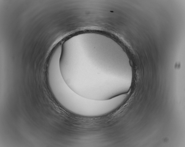 X0000097291266200803141502