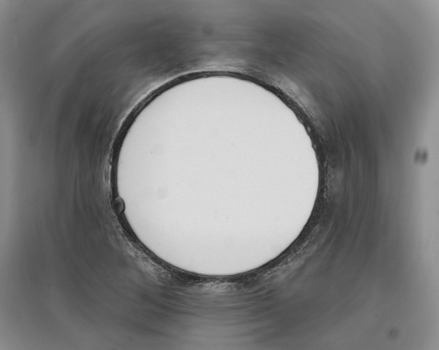 X0000097291268200803141502