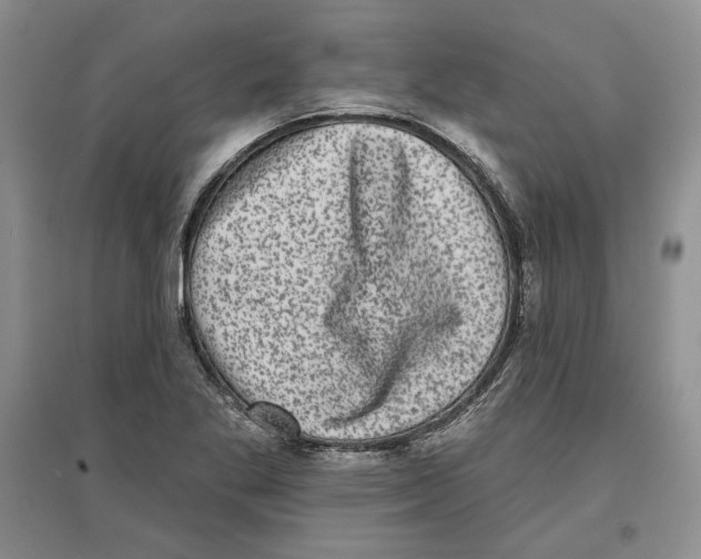 X0000097291269200803141502