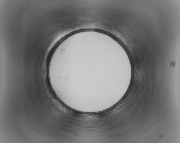 X0000097291270200803141502