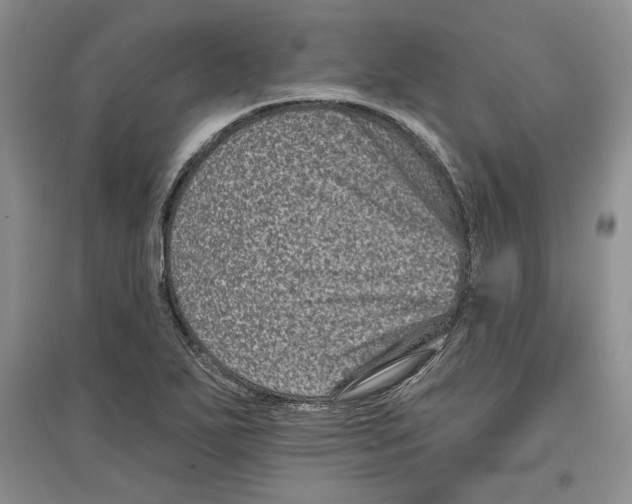 X0000097291271200803141502