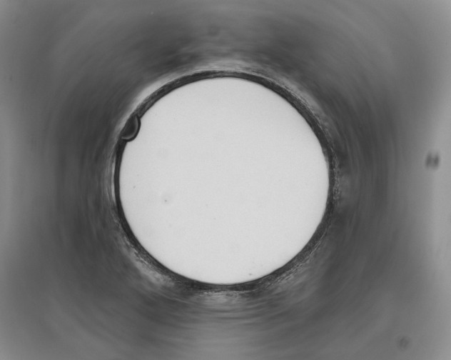 X0000097291272200803141502