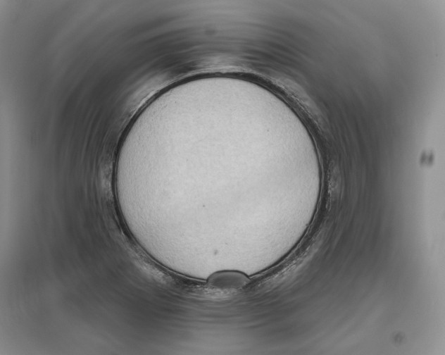 X0000097291273200803141502