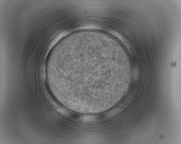 X0000097291274200803141502