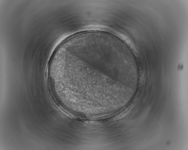 X0000097291275200803141502