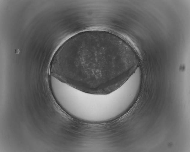 X0000097291276200803141502