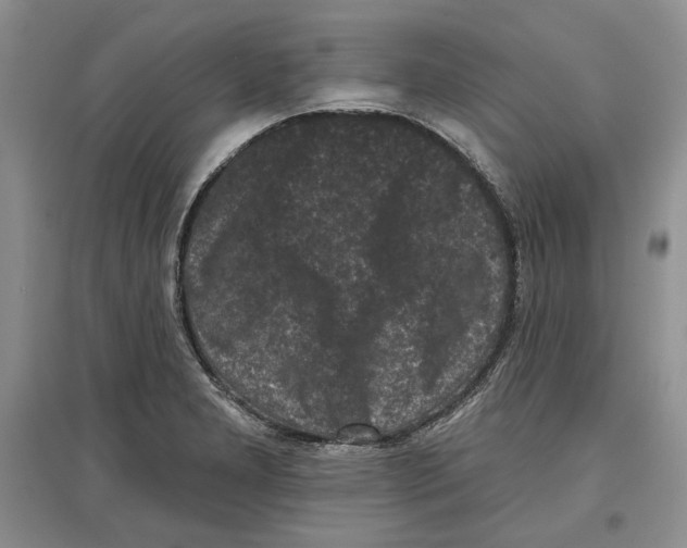 X0000097291277200803141502