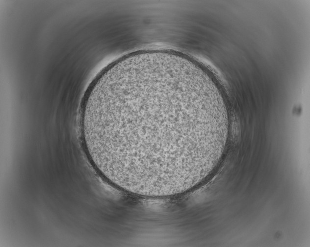 X0000097291278200803141502