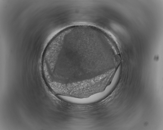 X0000097291279200803141502