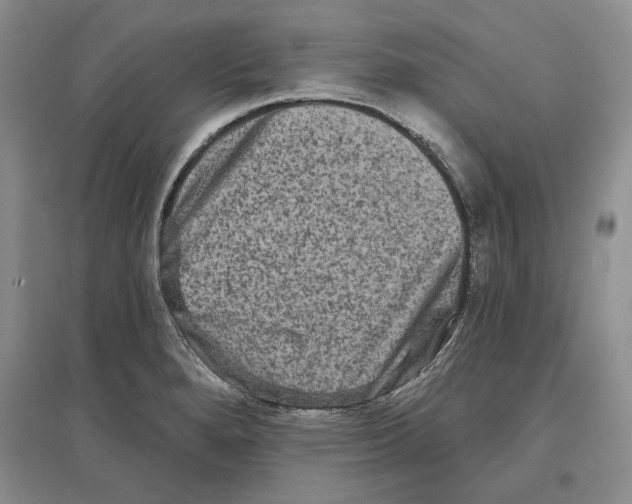 X0000097291280200803141502