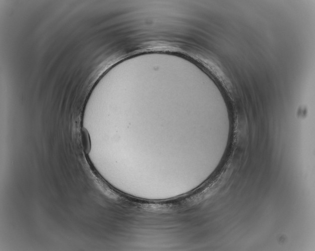 X0000097291281200803141502