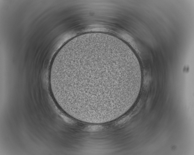 X0000097291282200803141502