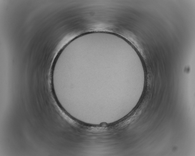 X0000097291285200803141502