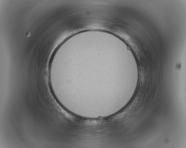 X0000097291286200803141502